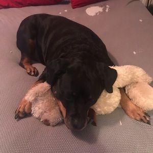 Meet your Posher, Jillin